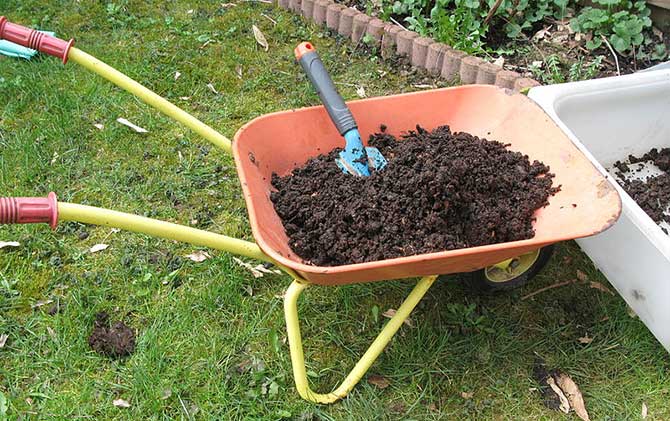 Compost ready to use