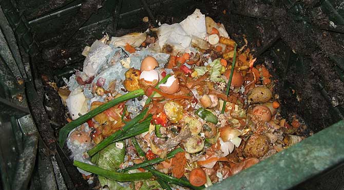 Compost from food wastes