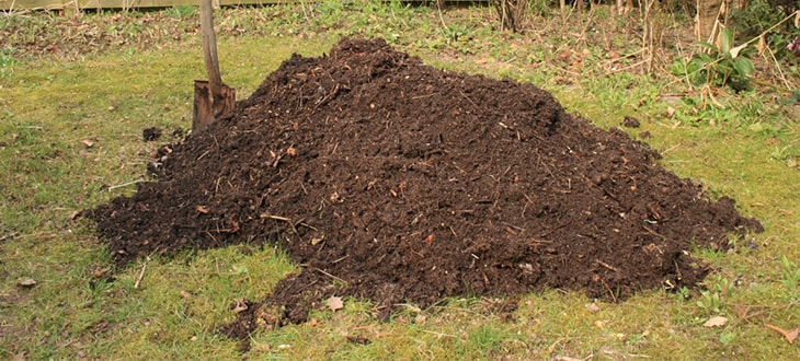 Compost for tomato hole