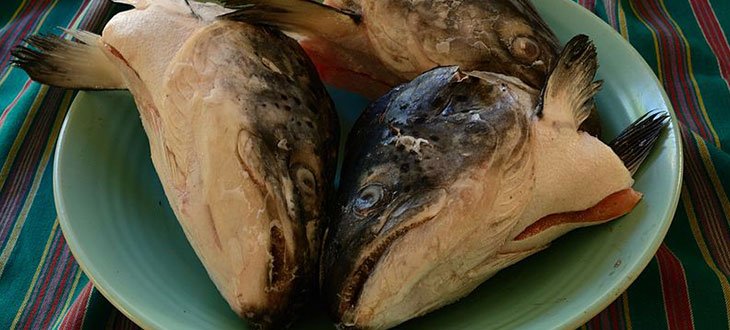 Fish heads usage in gardening