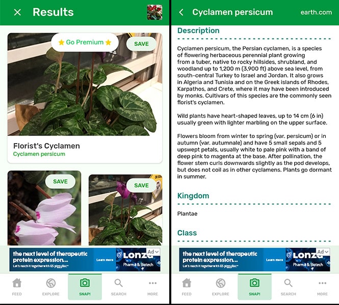 9 Best Free Plant Identification Apps For Android Ios 2021