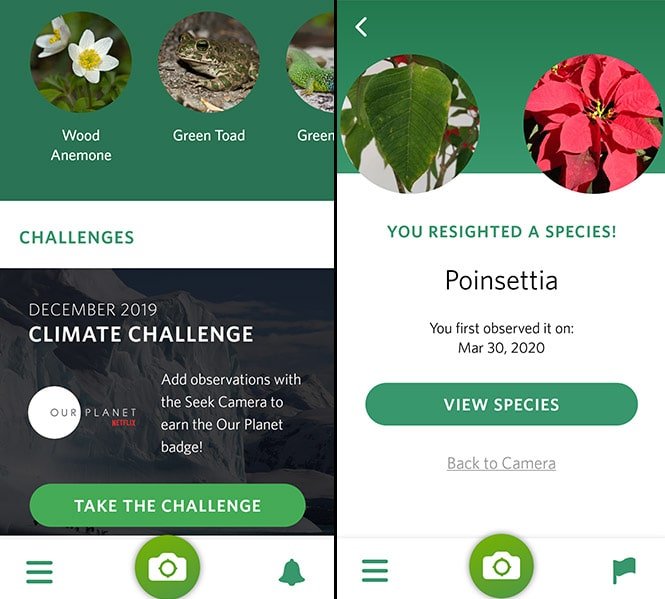 Seek by iNaturalist app