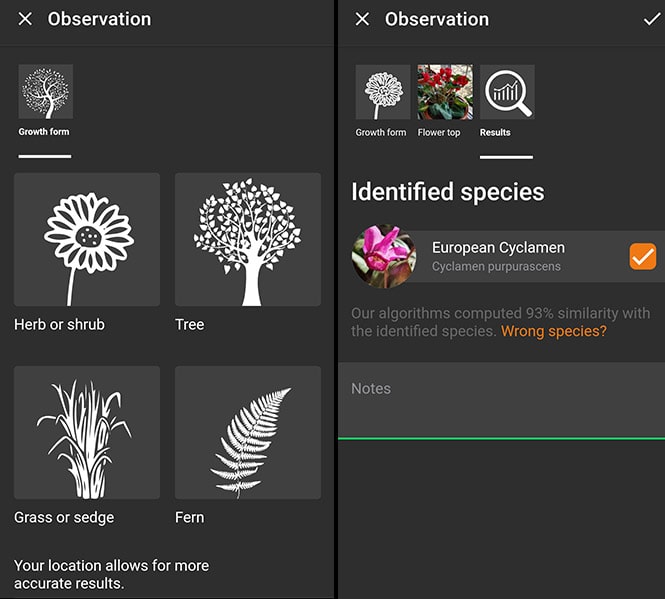 Free Plant Id App Nz : 11 Best Plant Identification App In 2021 The