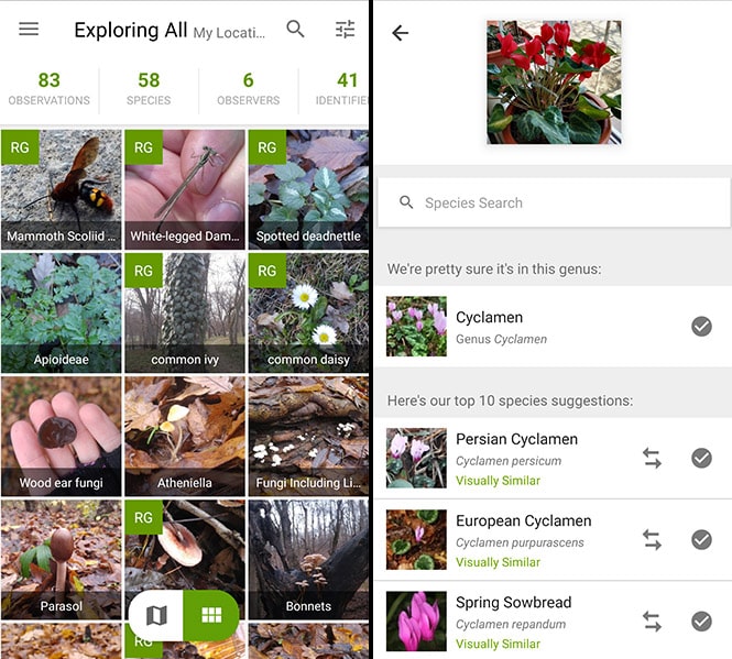 What Is The Best Free Plant Identification App For Australia at Lennie ...