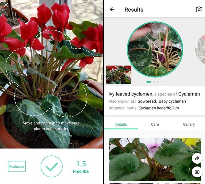 9 Best Free Plant Identification Apps For Android Ios 2021