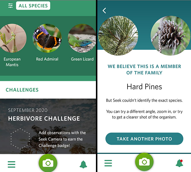 5 Best Tree Identification Apps for Android & iOS (2020)