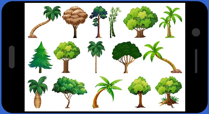 5 Best Tree Identification Apps