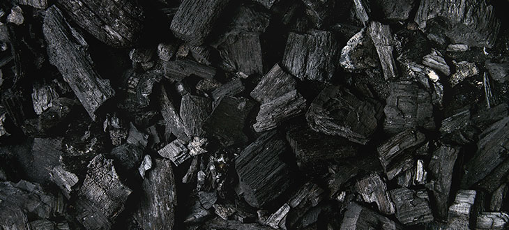 Should I Use Charcoal Ash In Garden?