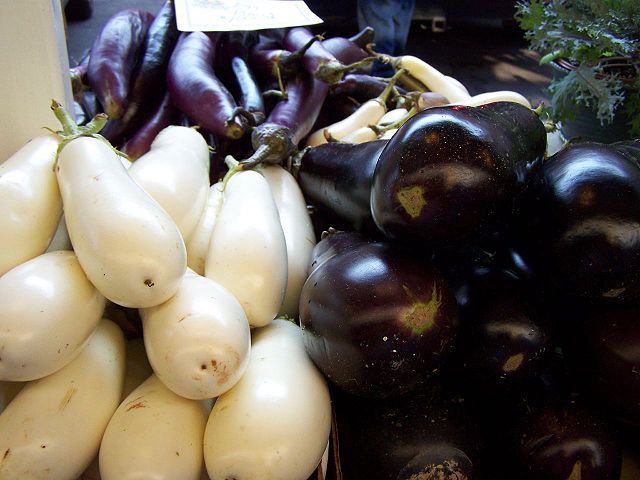3 Types of eggplants