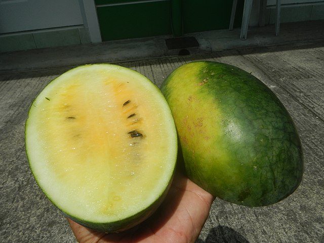 Yellow Crimson Watermelon