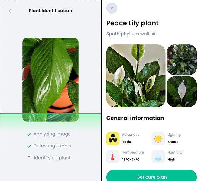 PlantIn App Screenshots