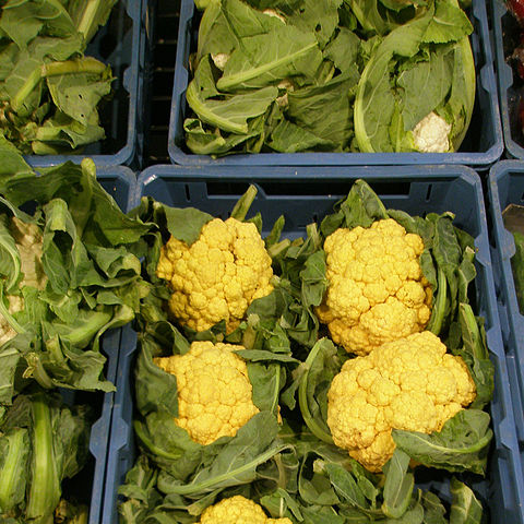 Orange cauliflower