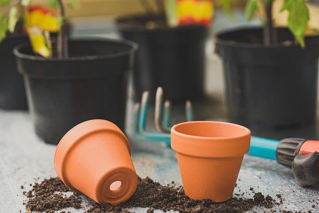 Replace potted plants soil
