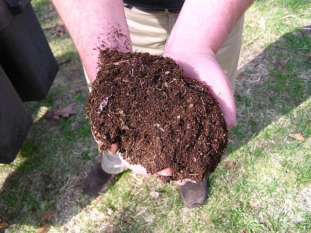 Compost as fertilizer