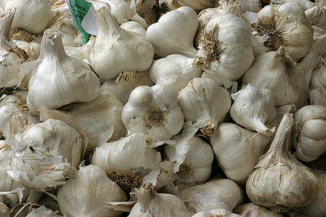 Garlic bulbs