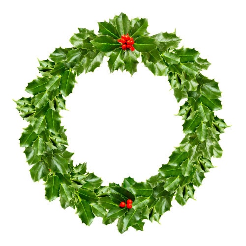 Christmas Holly Wreath