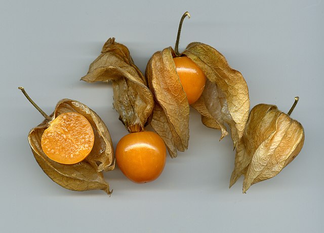 Goldenberry (Physalis Peruviana)