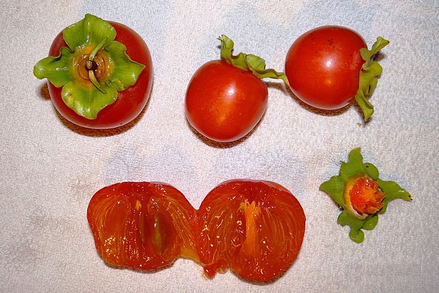 Ripe Persimmons Kaki